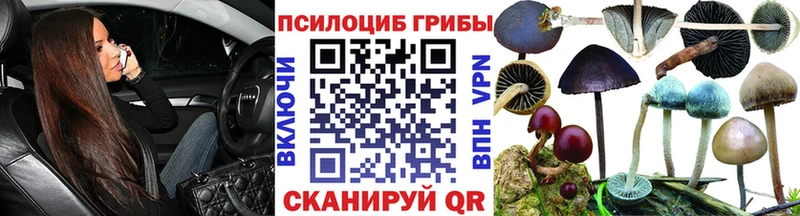Купить закладки  Болотное  Псилоцибиновые грибы MAGIC MUSHROOMS 